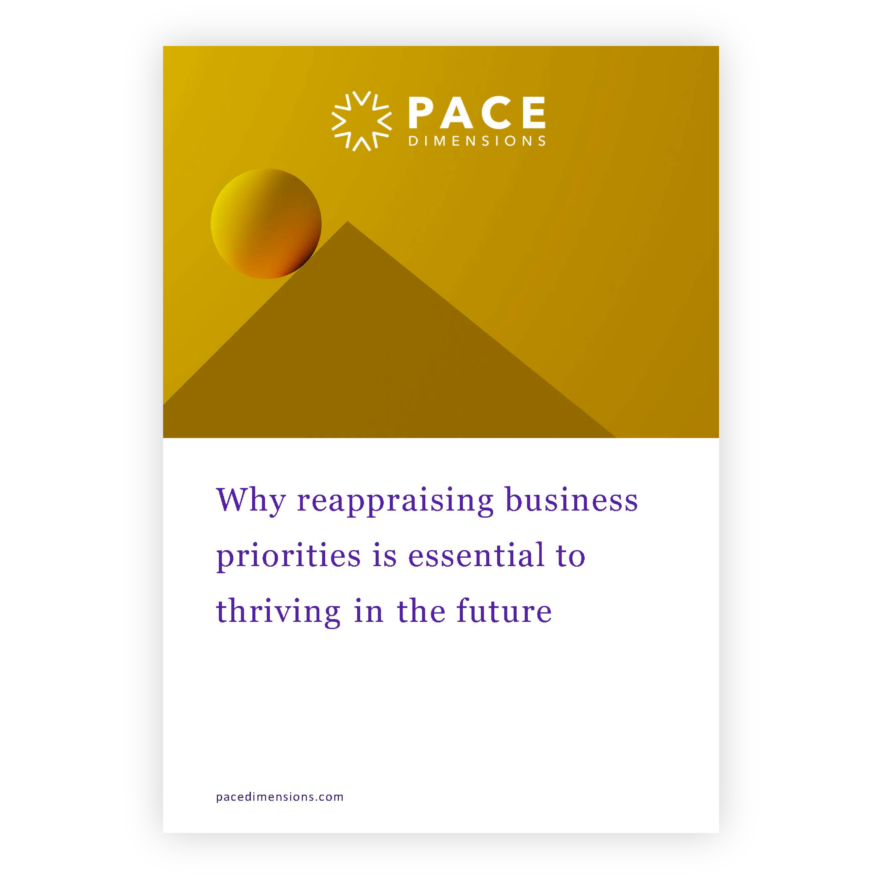 why reappraising business priorities whitepaper