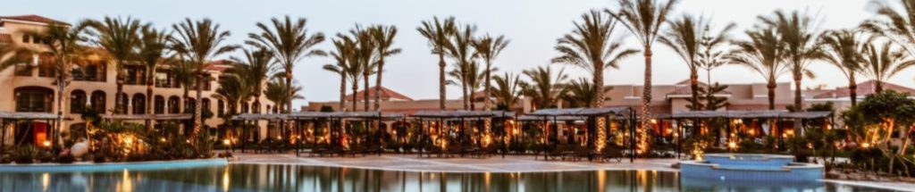 hotel pool area with chairs, umbrellas and palm trees